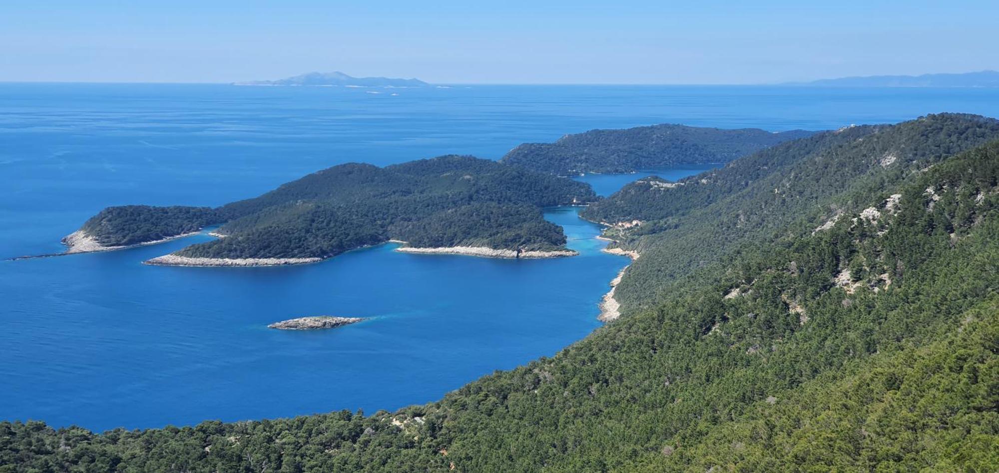 Pjevalo-mljet * Polace