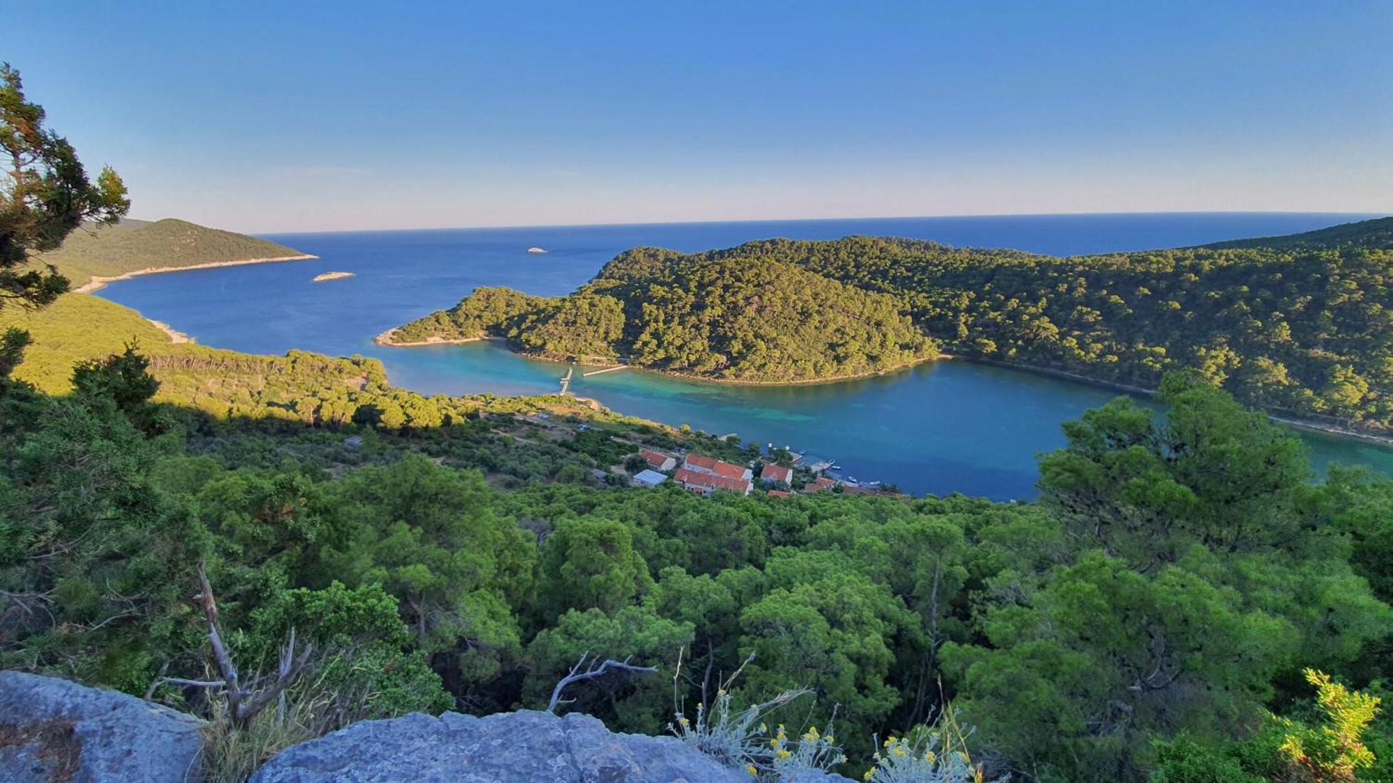 Pjevalo-mljet *
