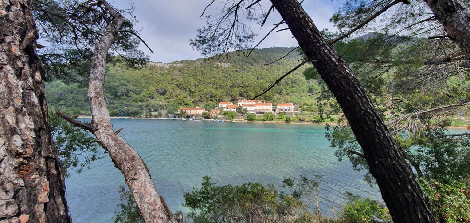 Pjevalo-mljet Polace