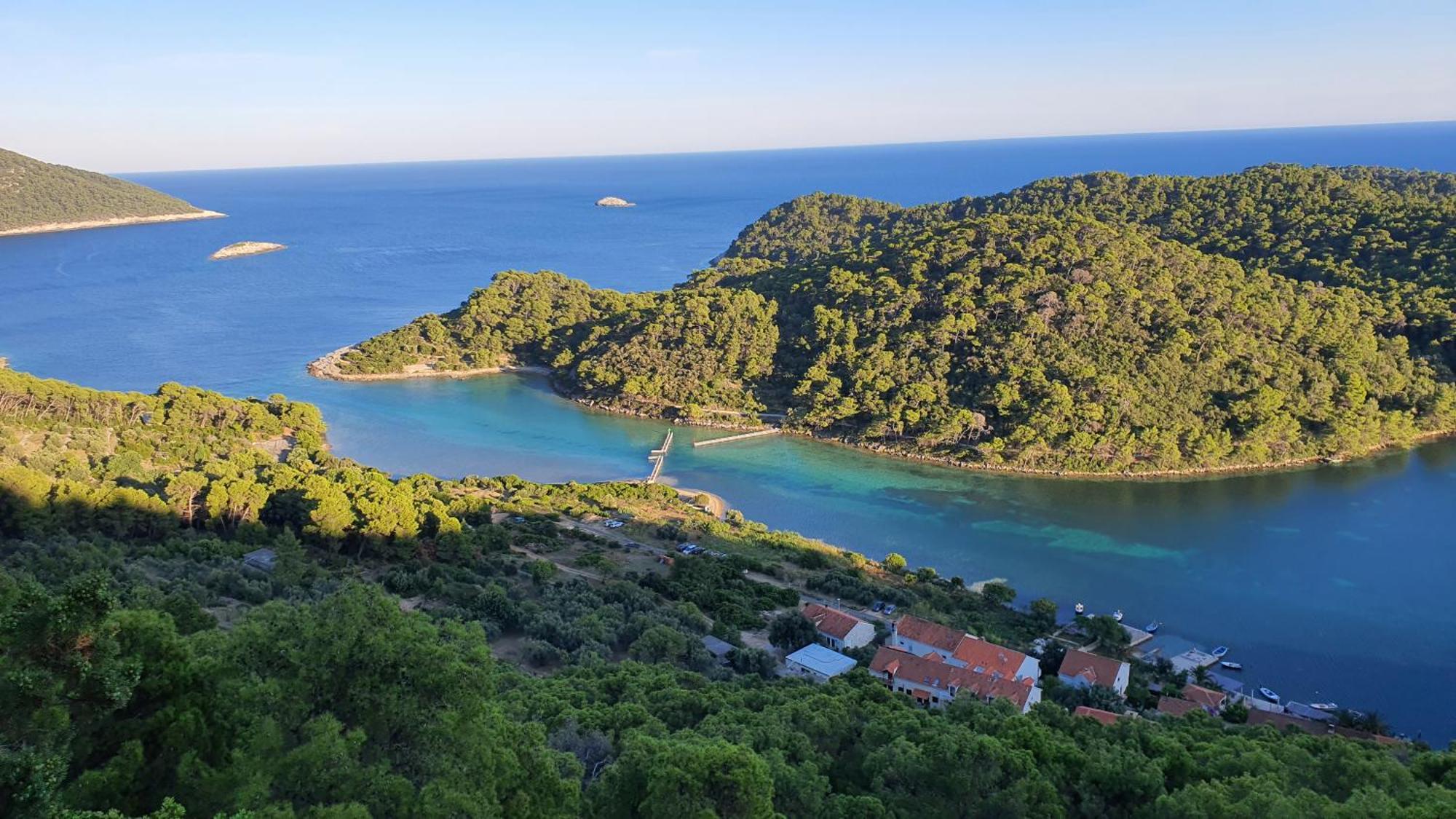 Pjevalo-mljet * Polace