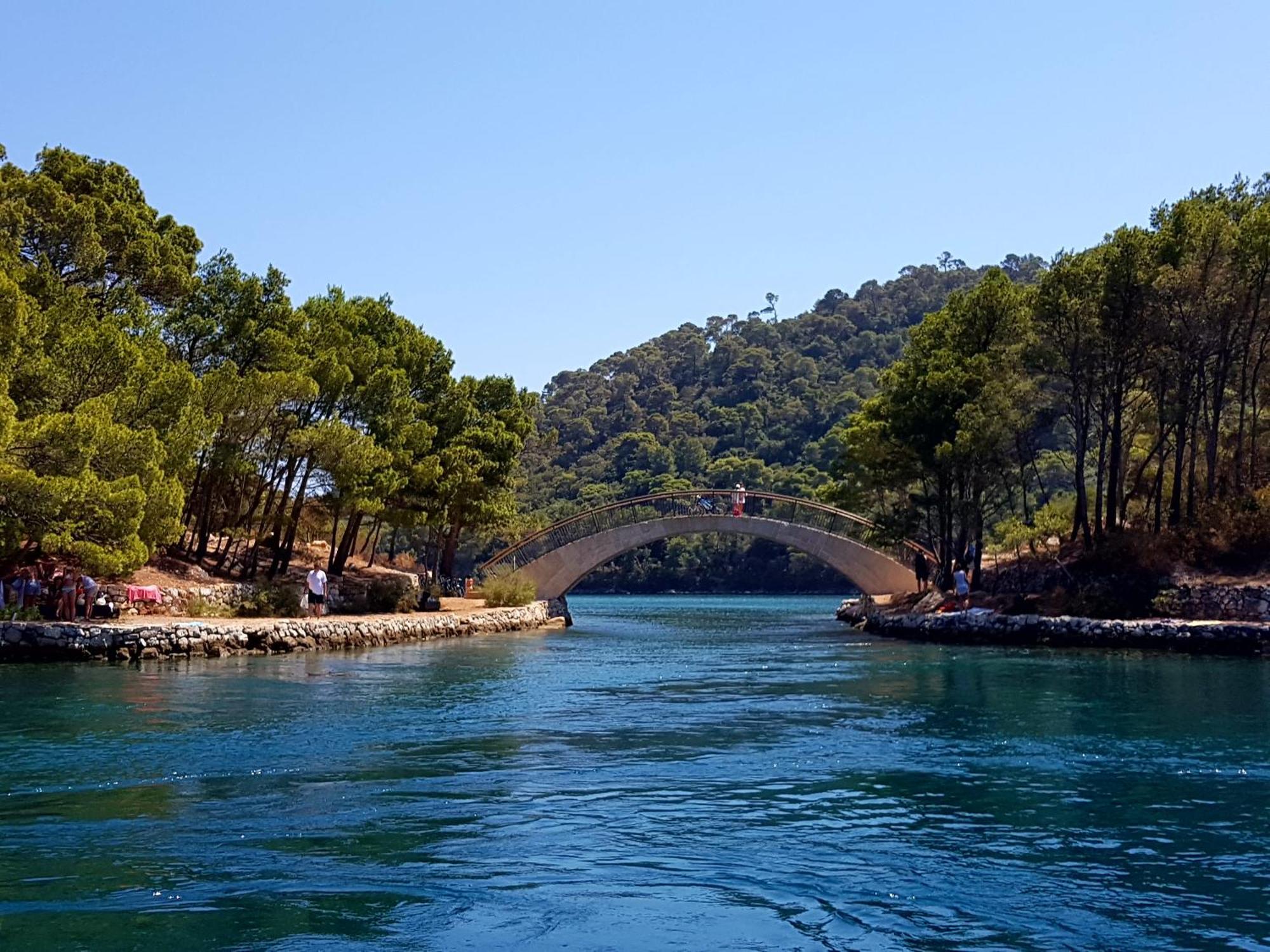 Pjevalo-mljet
