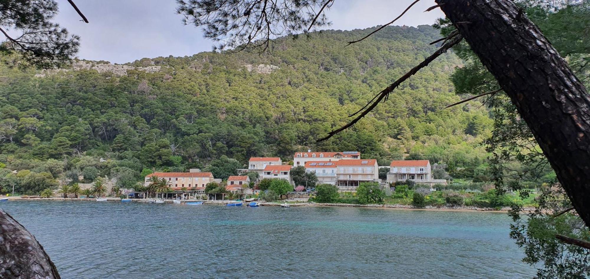 Pjevalo-mljet * Polace