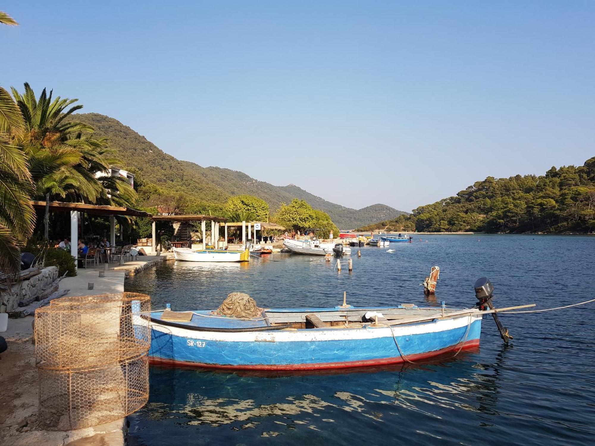 Apartment Pjevalo-mljet *