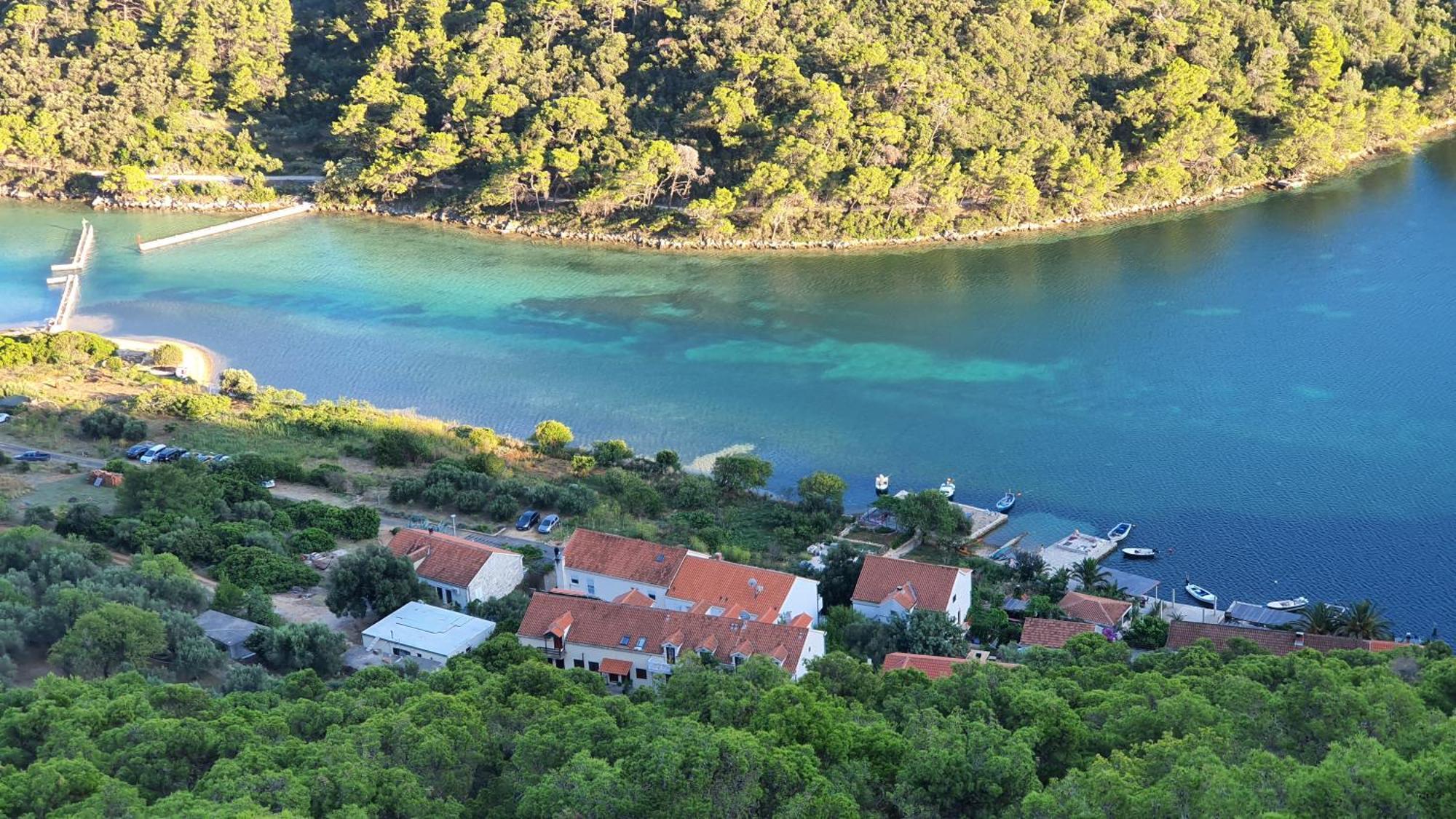 Pjevalo-mljet