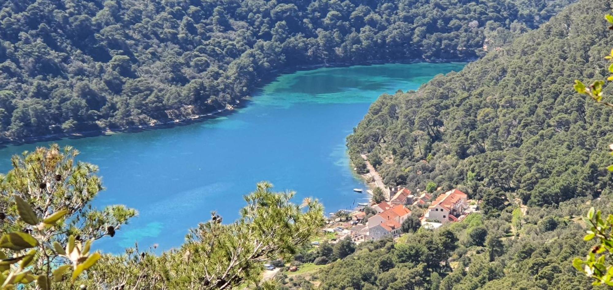 Apartment Pjevalo-mljet