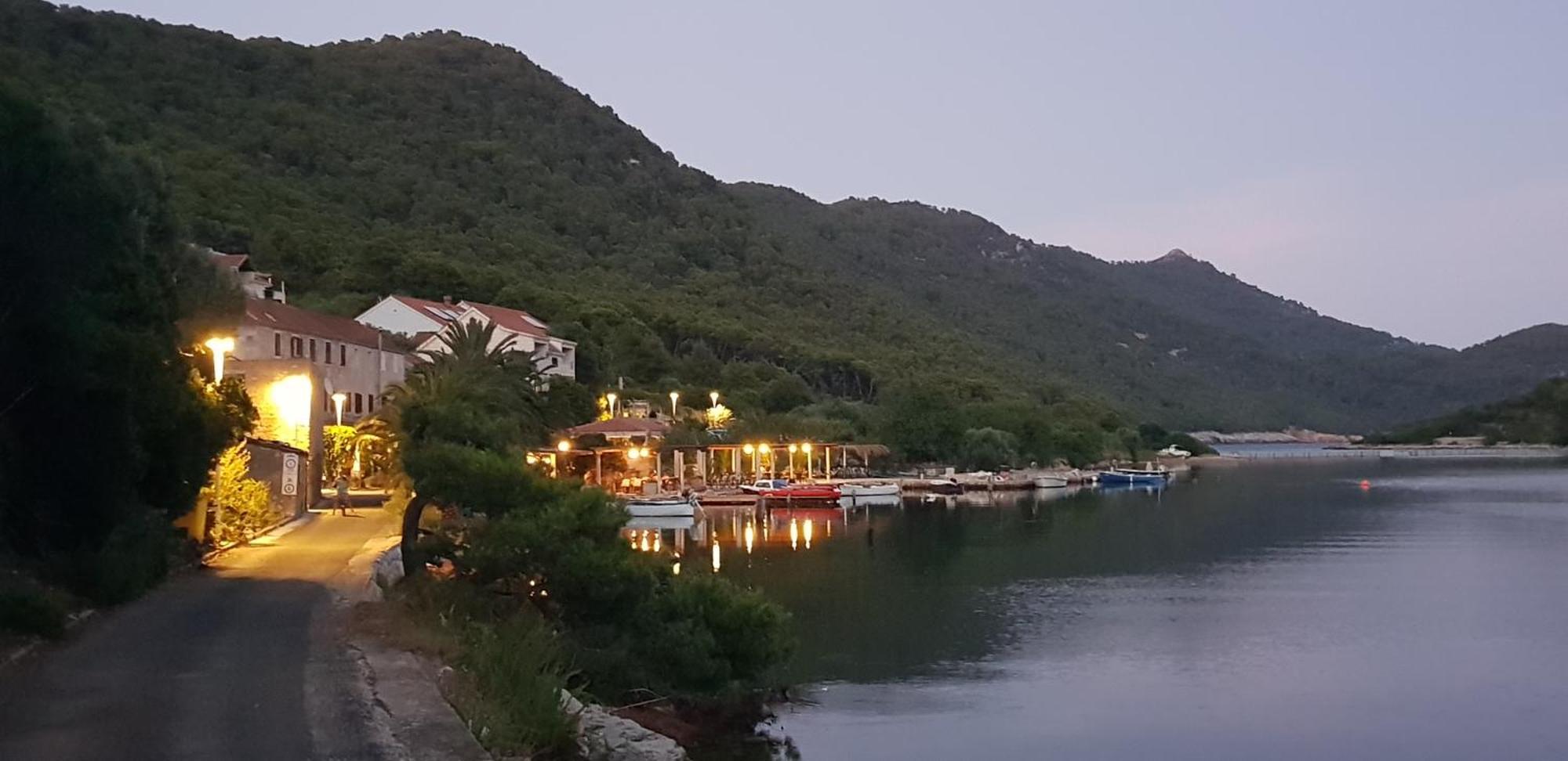 Pjevalo-mljet Apartment