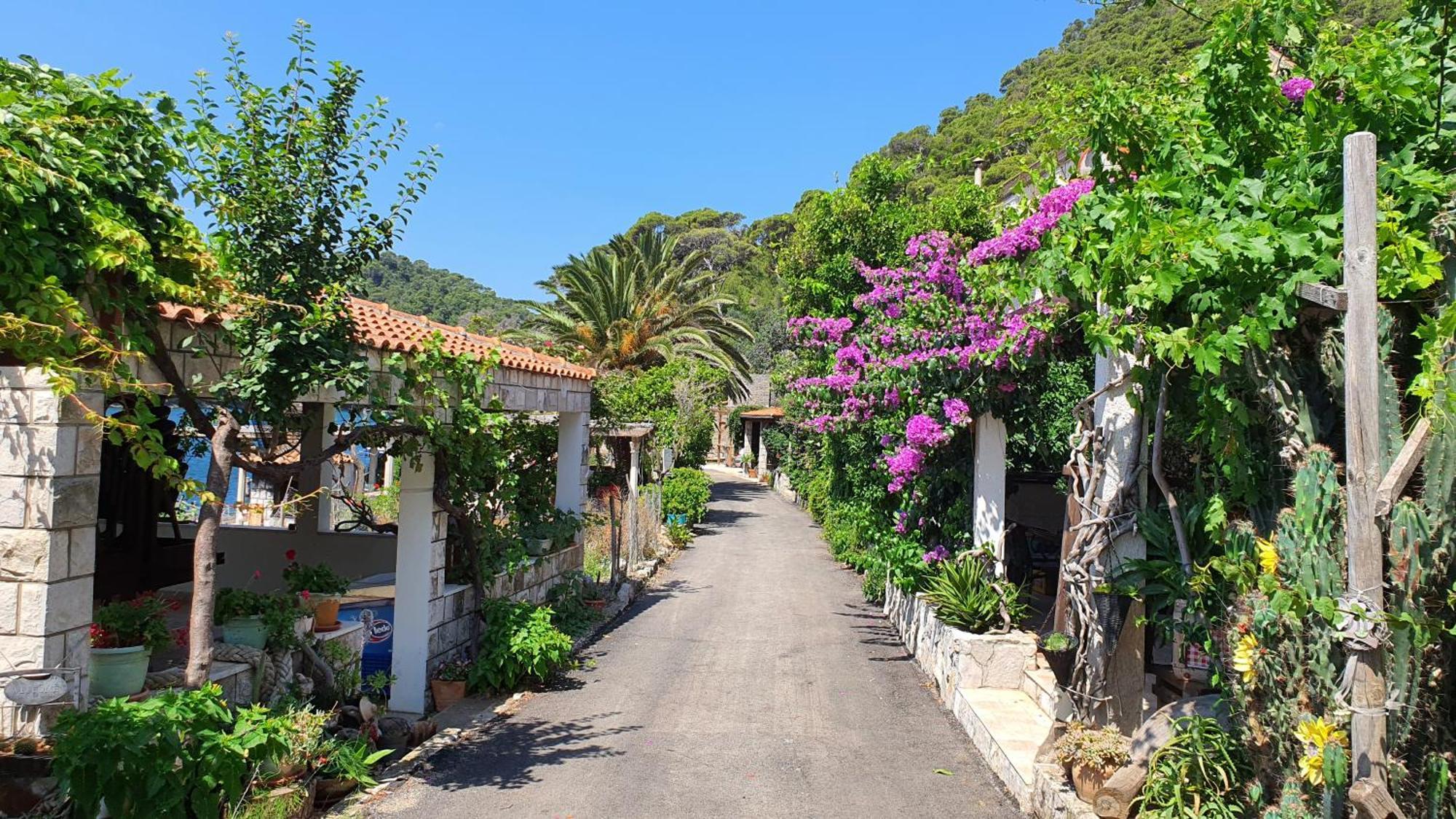 Pjevalo-mljet Apartment *