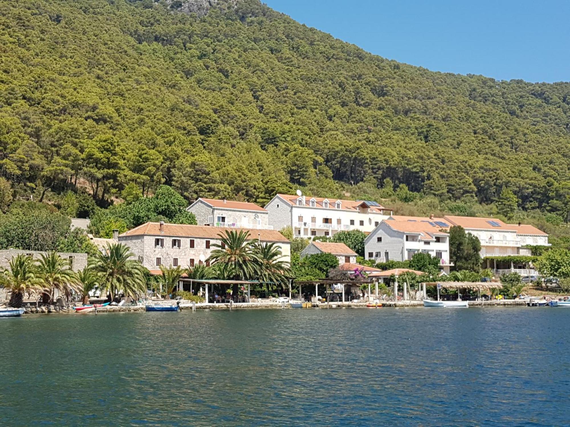 Apartment Pjevalo-mljet