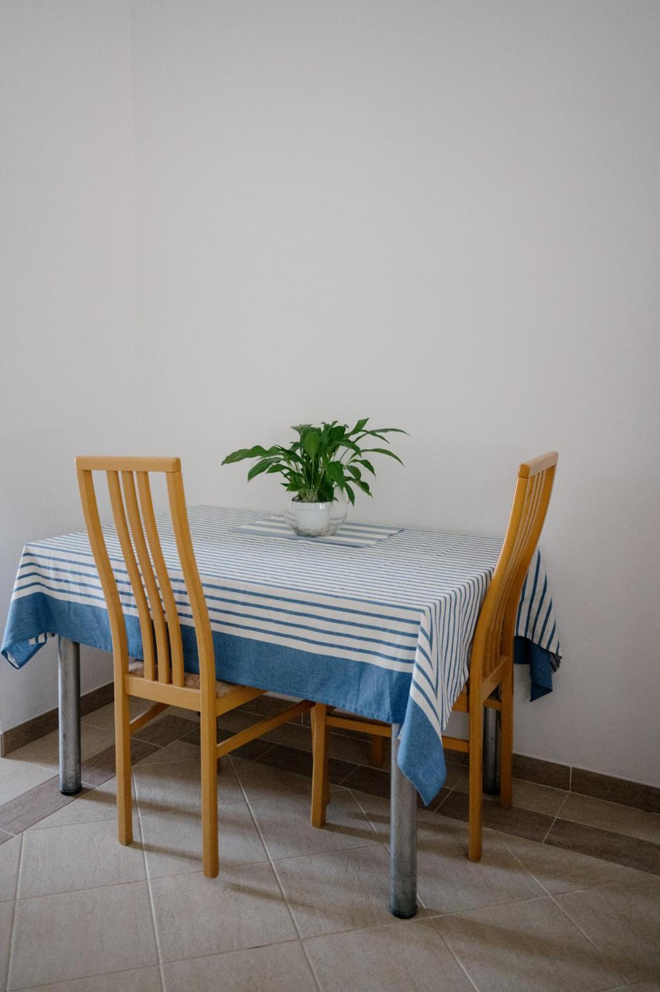 Apartment Pjevalo-mljet
