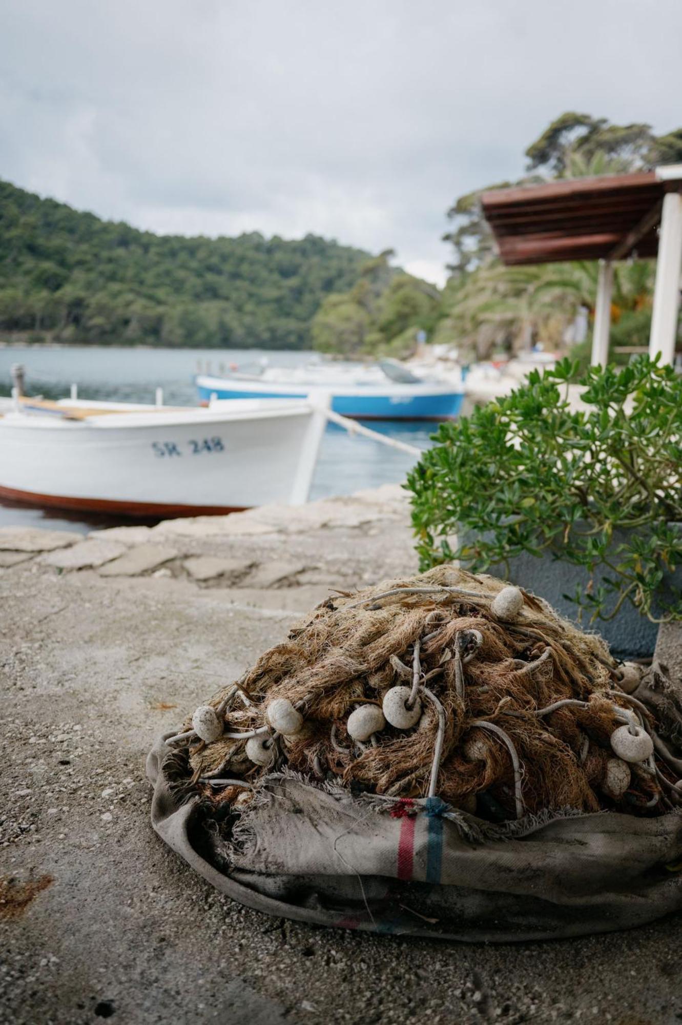 Pjevalo-mljet * Polace