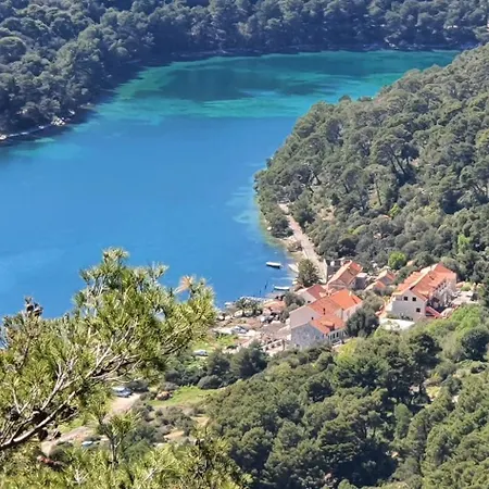 Apartmani Pjevalo-Mljet Polace Exterior photo