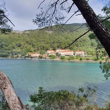 Apartmani Pjevalo-Mljet Polace Exterior photo