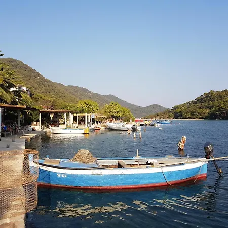 Apartmani Pjevalo-Mljet Polace Exterior photo