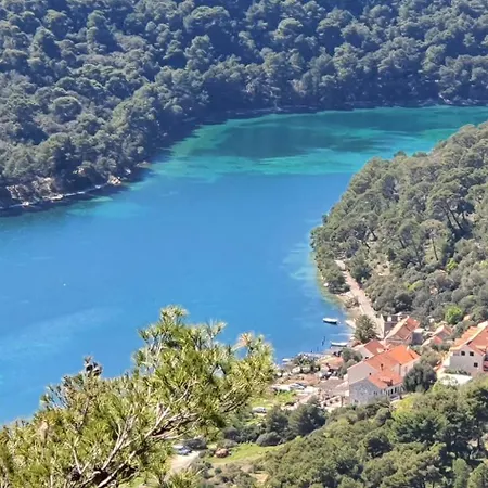 Apartmani Pjevalo-Mljet Polace Exterior photo