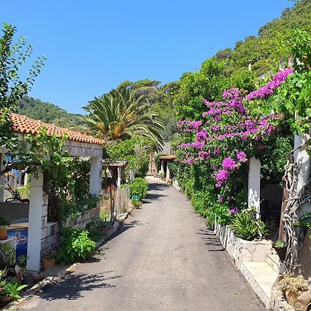Apartmani Pjevalo-Mljet Polace Exterior photo