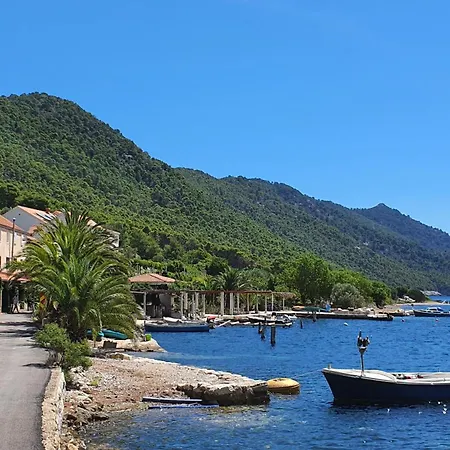 Apartmani Pjevalo-Mljet Polace Exterior photo